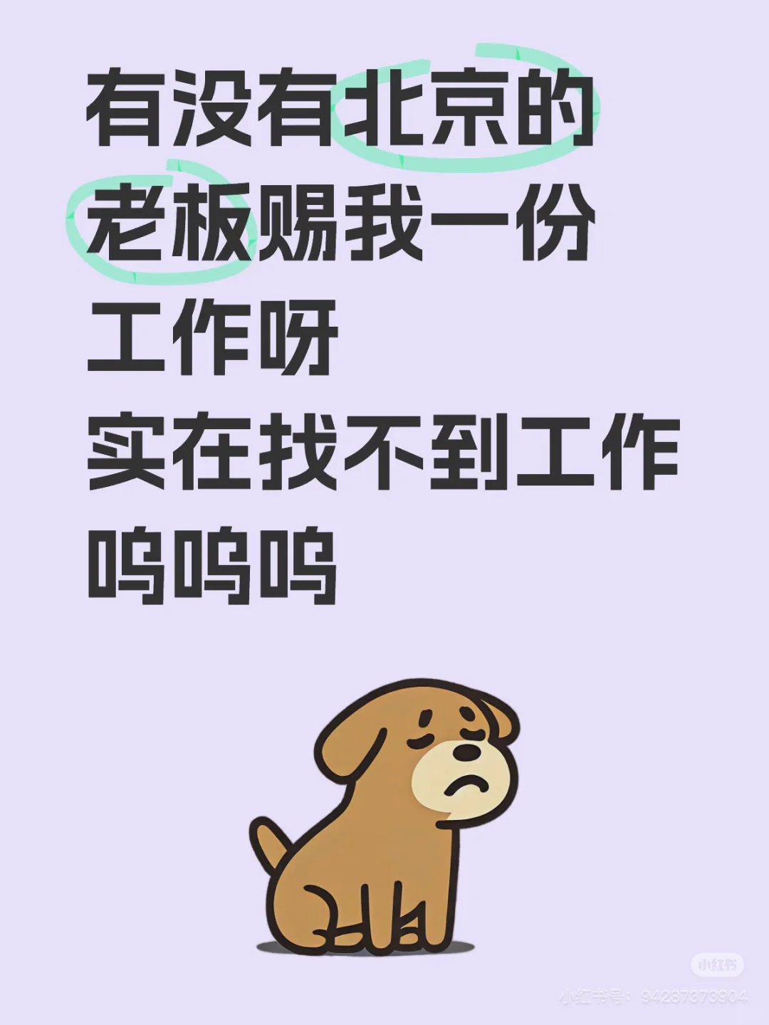 北京到底谁找到工作了？