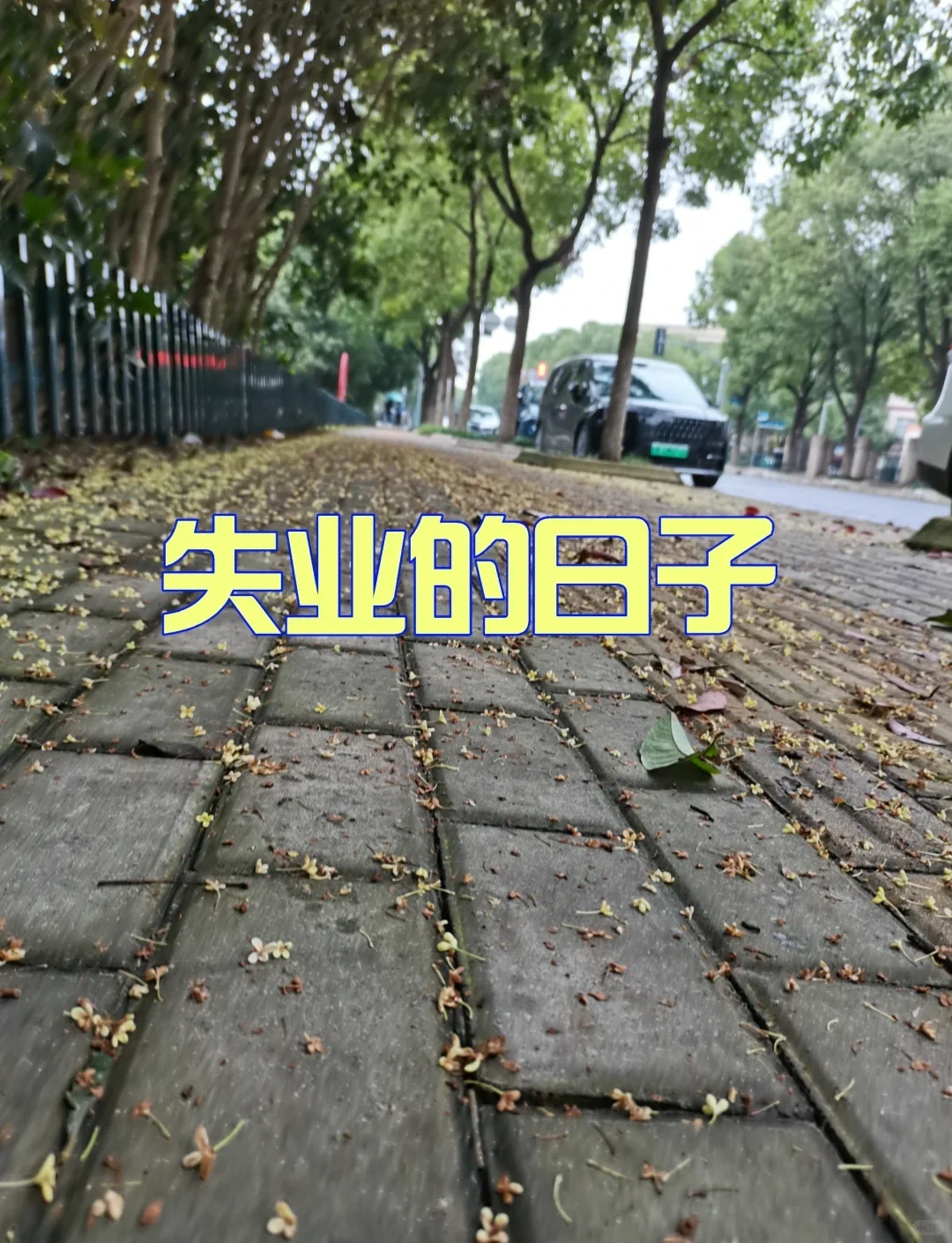 32岁失业 我承认我慌了