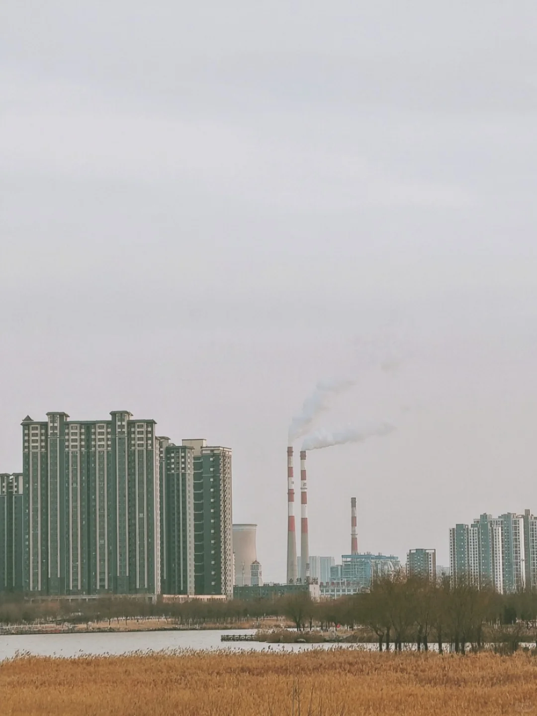 邯郸这个宝藏公园,风景超美还可以带宠物