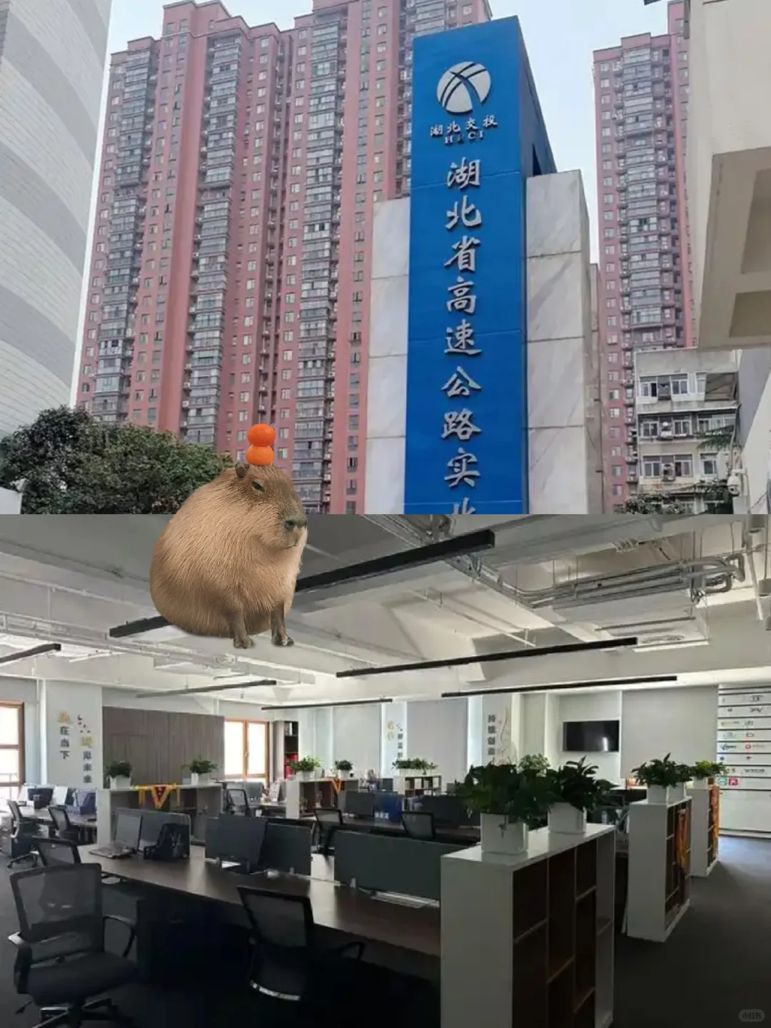 有同学愿意来湖北交投做文员吗?大专就行