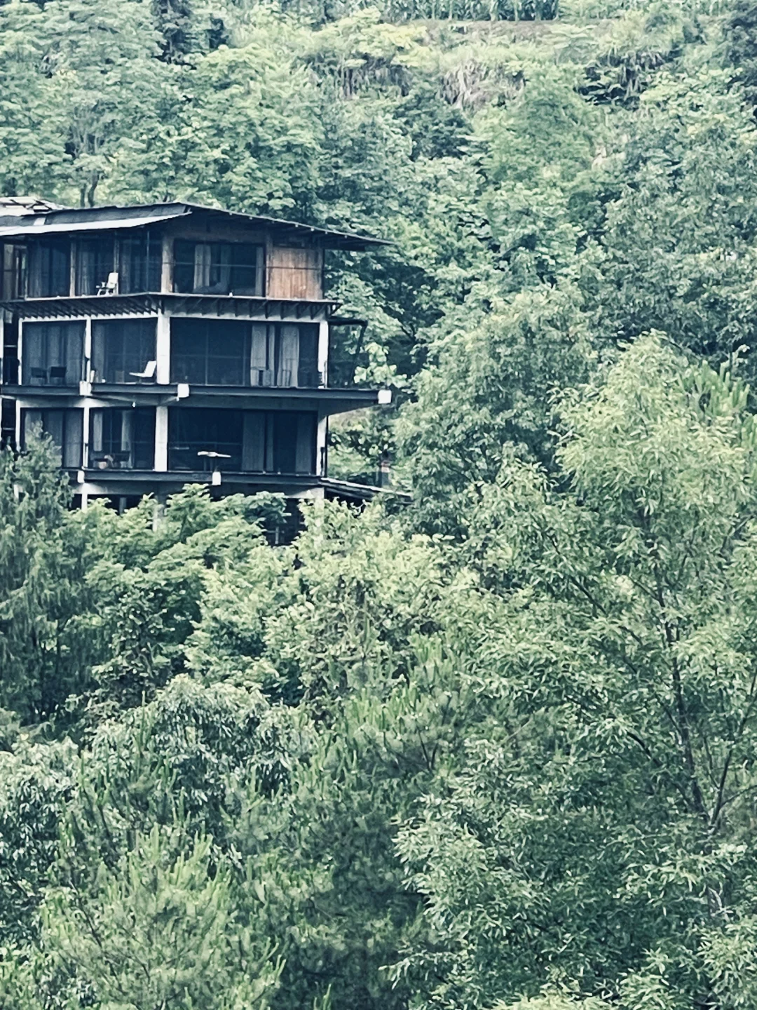 乡村最美院子•招募柴火窑炉烘焙主理人