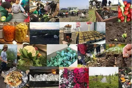 日本网红级农场Myfarm运营模式分享