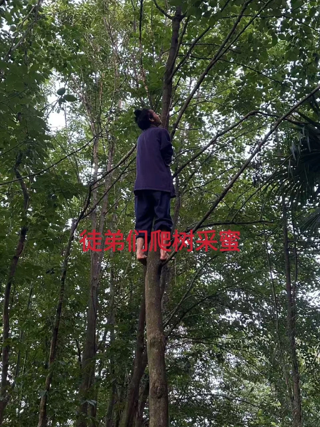 江西九江正一道观招募义工,有意入道者