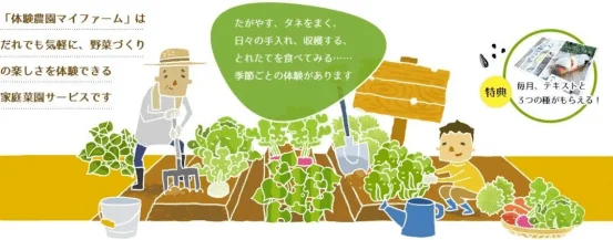日本网红级农场Myfarm运营模式分享