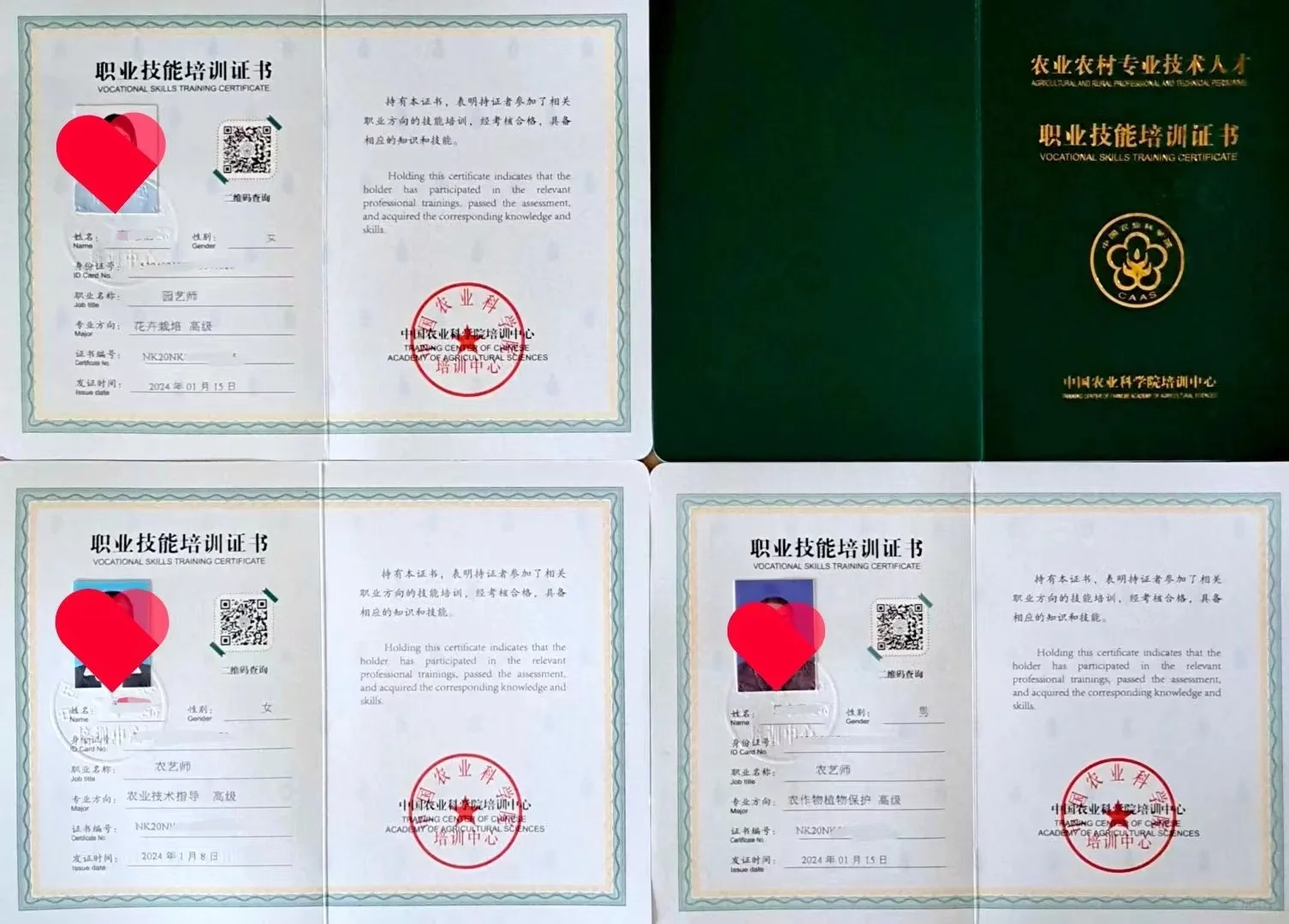 农业农村专业技术人才