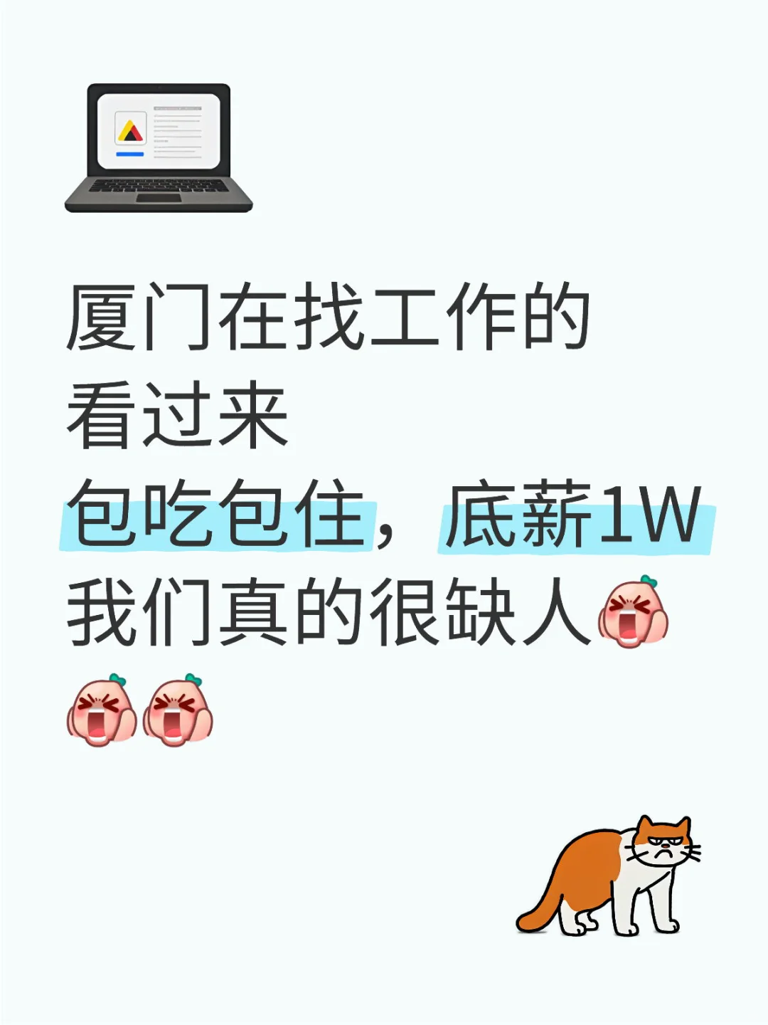 厦门高薪工作