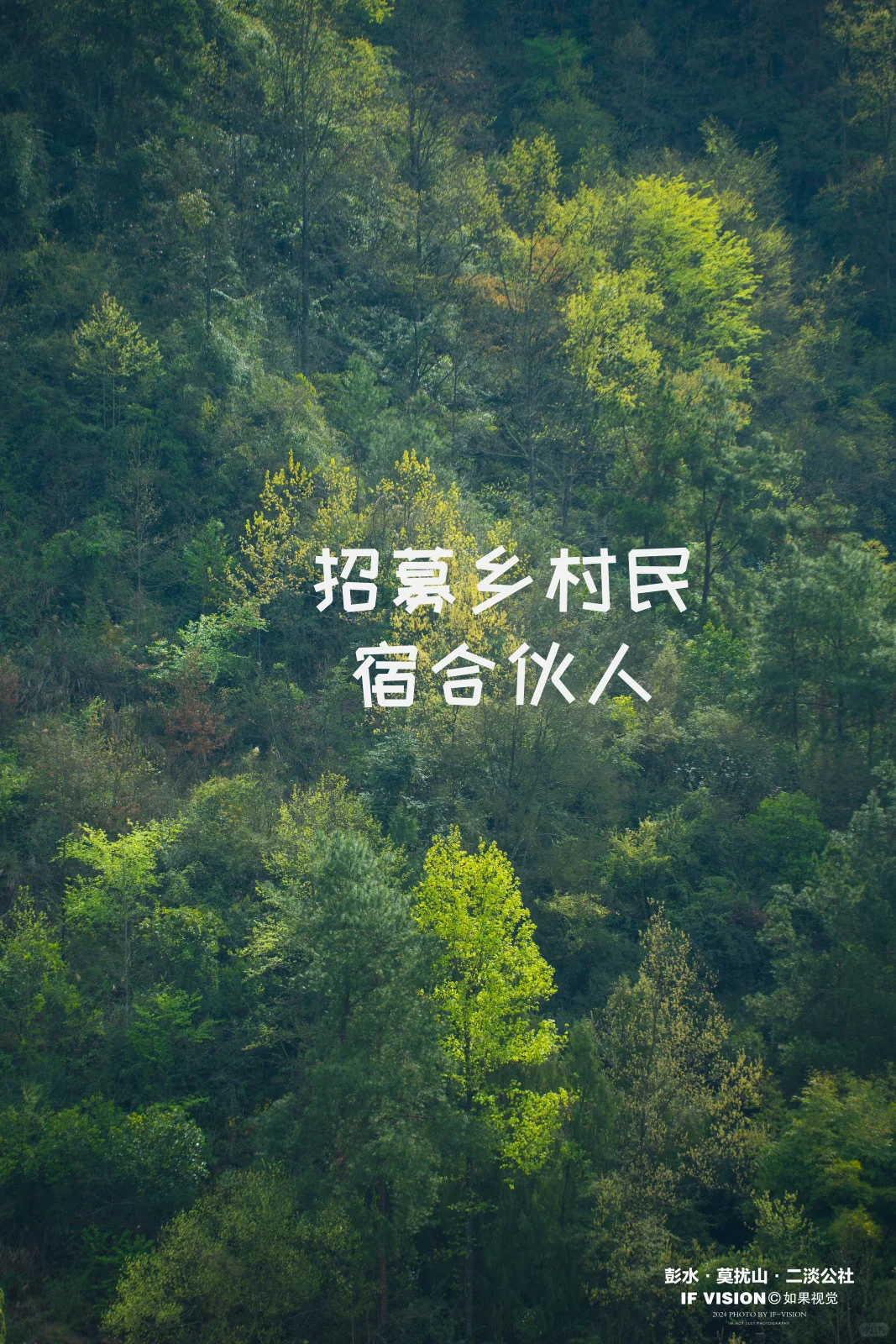 乡村最美院子•招募柴火窑炉烘焙主理人