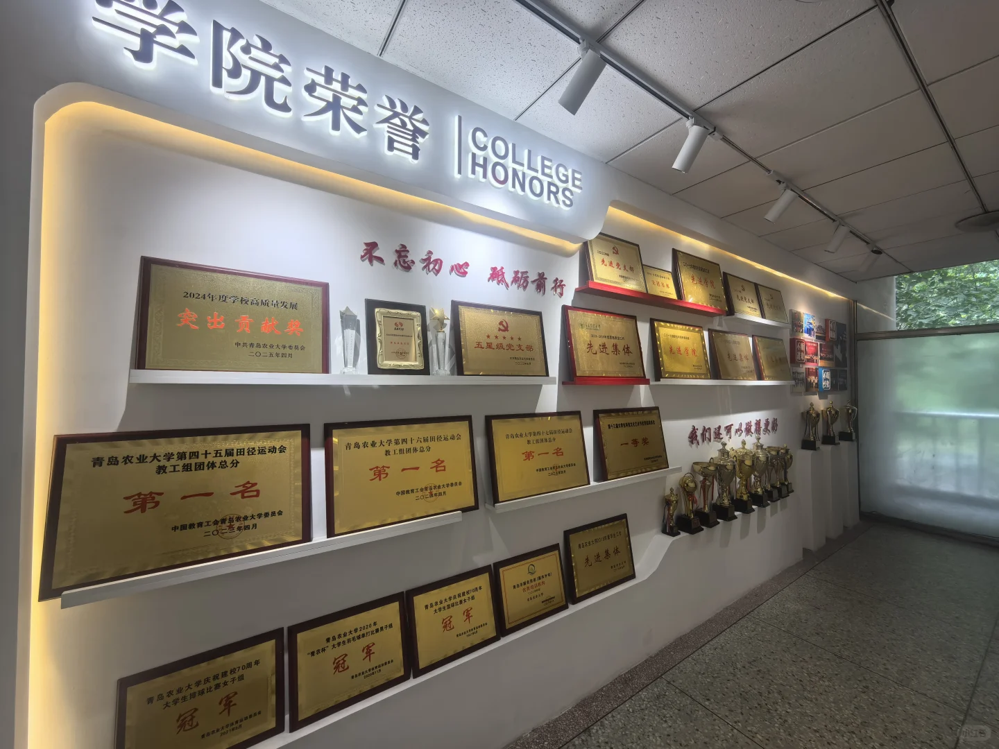 青岛农业大学卓越人才培养开启招生啦！