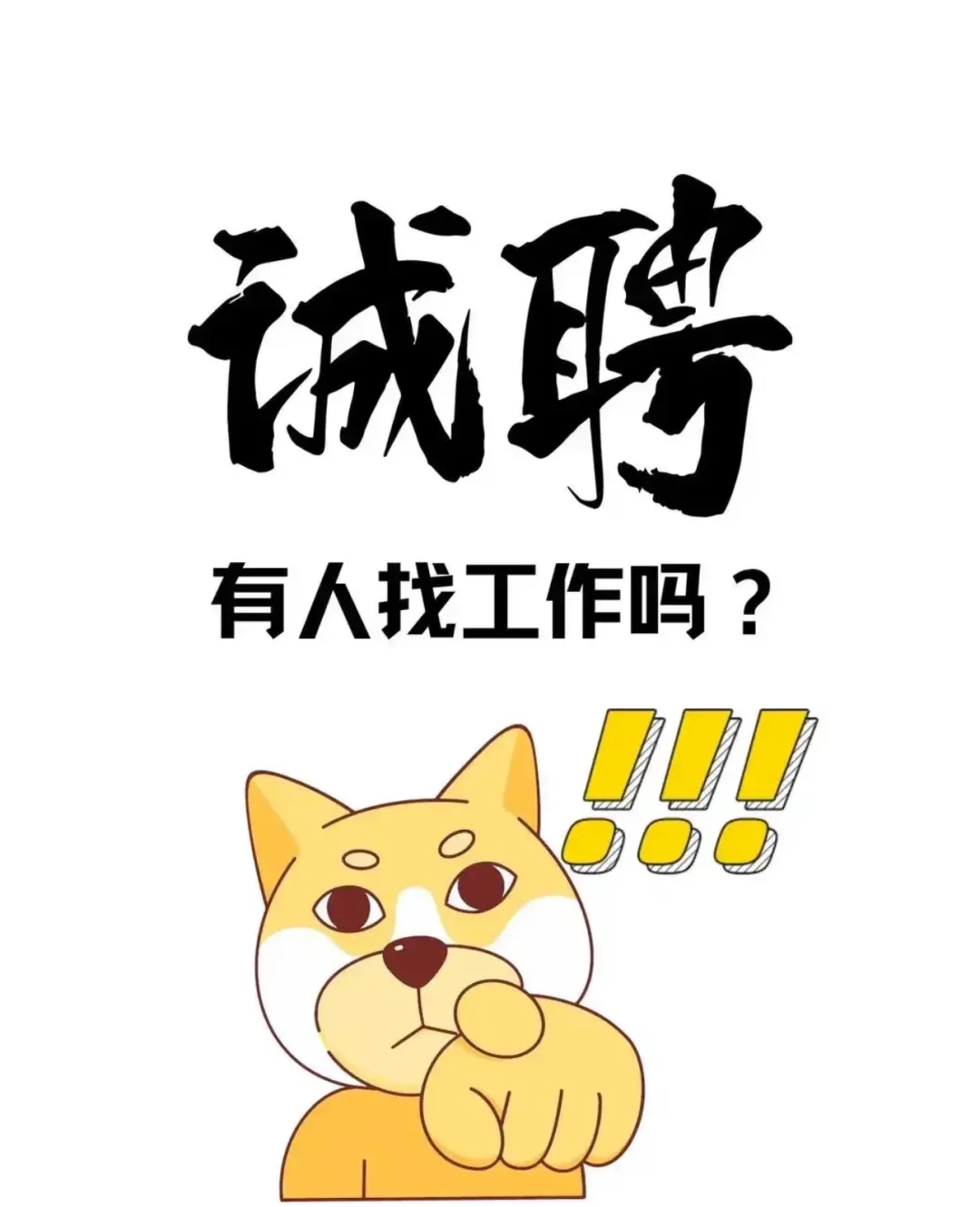 招聘人事专员‼️