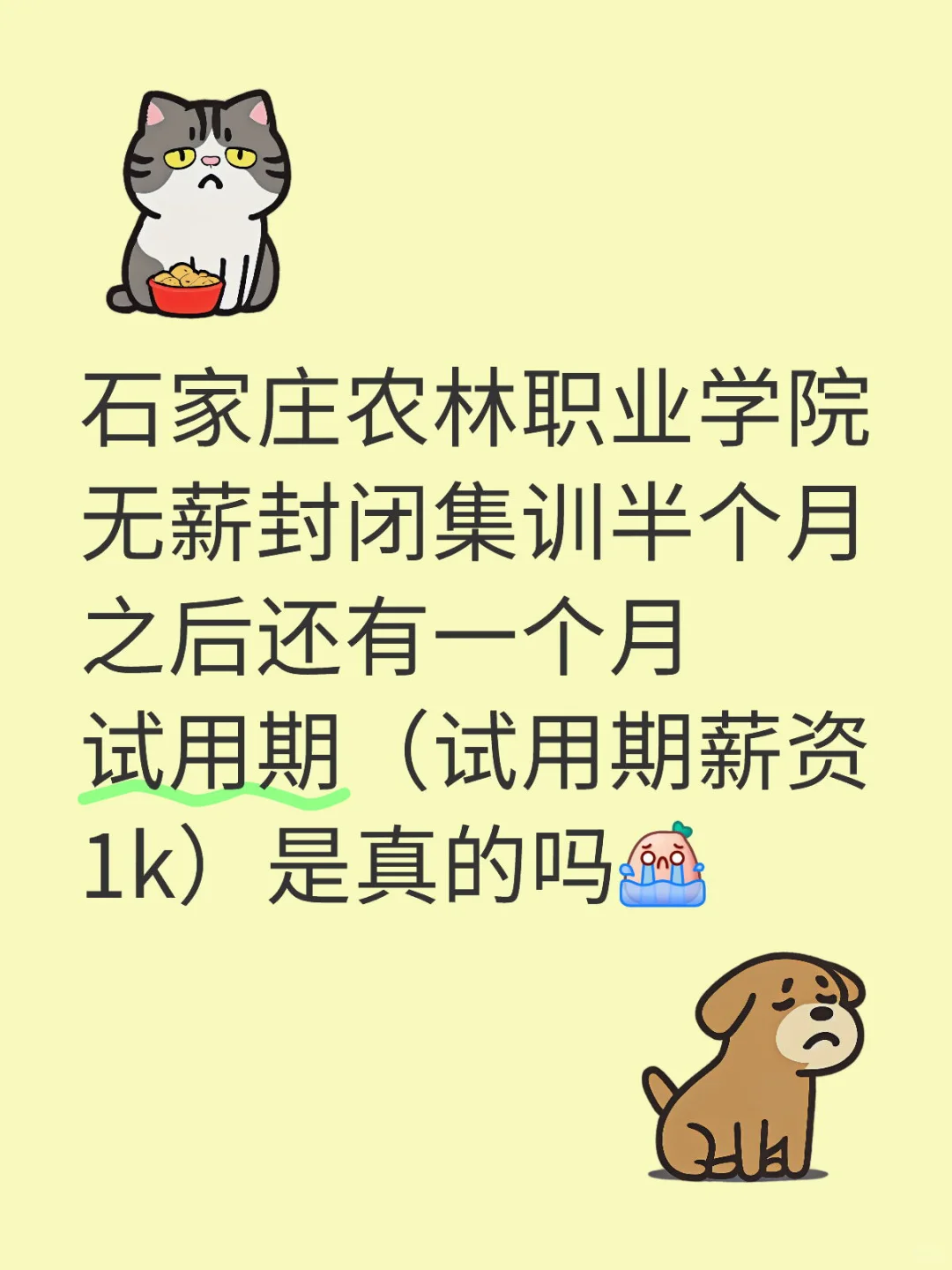 救救大学生