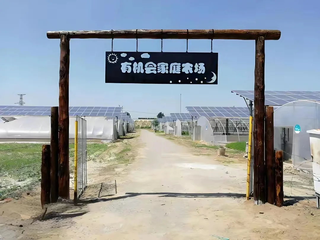 日本网红级农场Myfarm运营模式分享