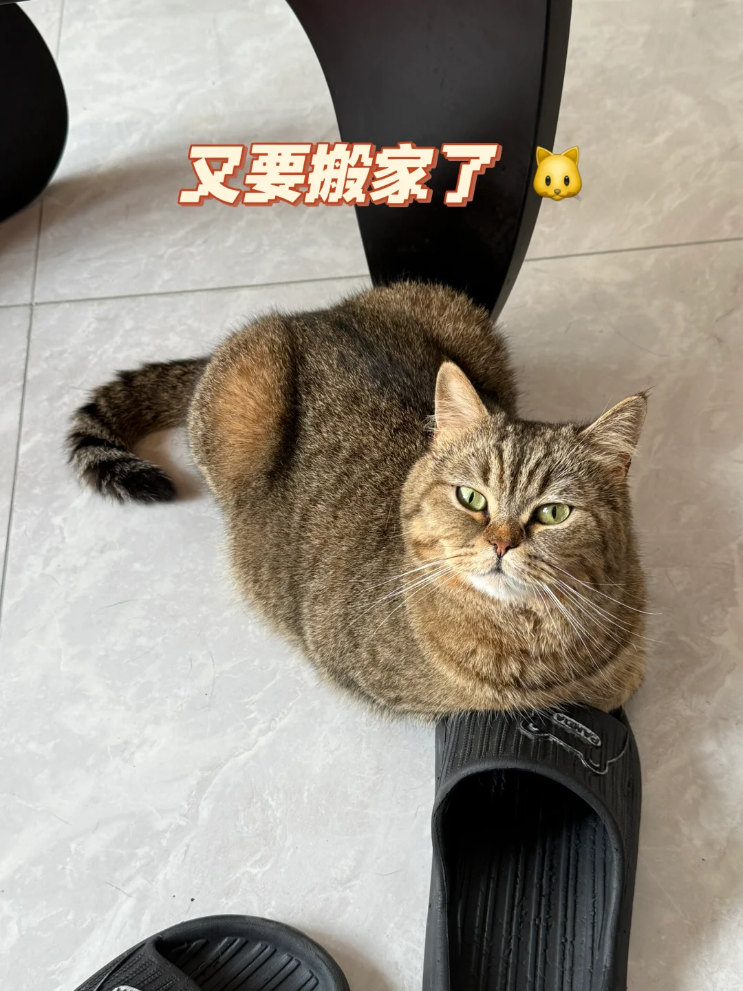 校招华为离职:这些跳槽的避雷点码住!