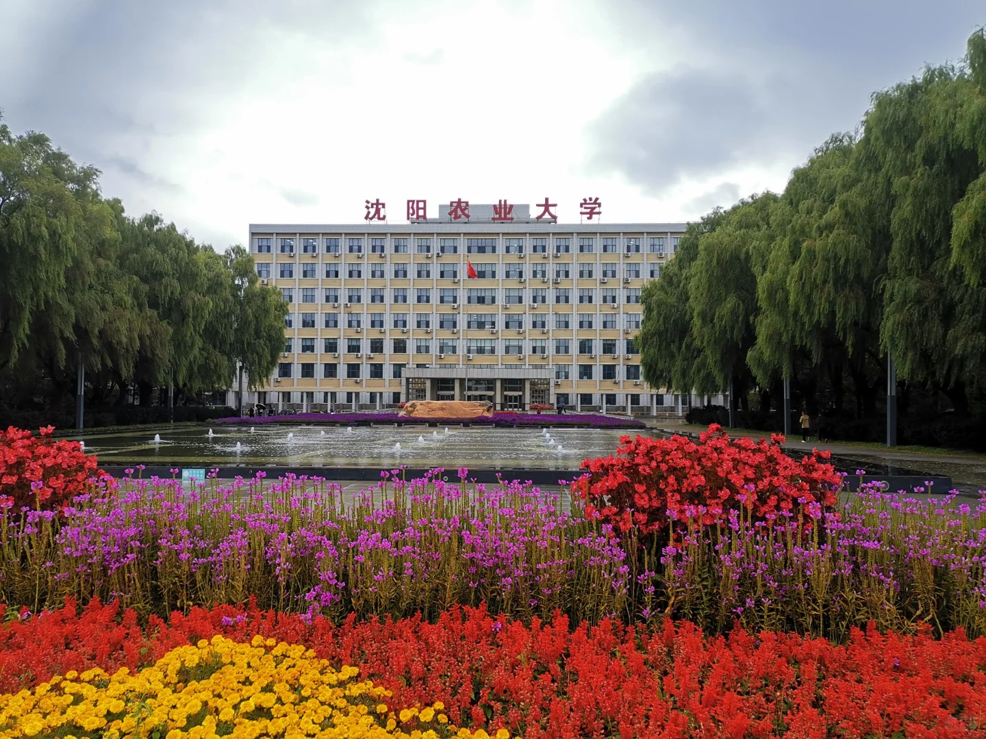 之前沈阳农业大学