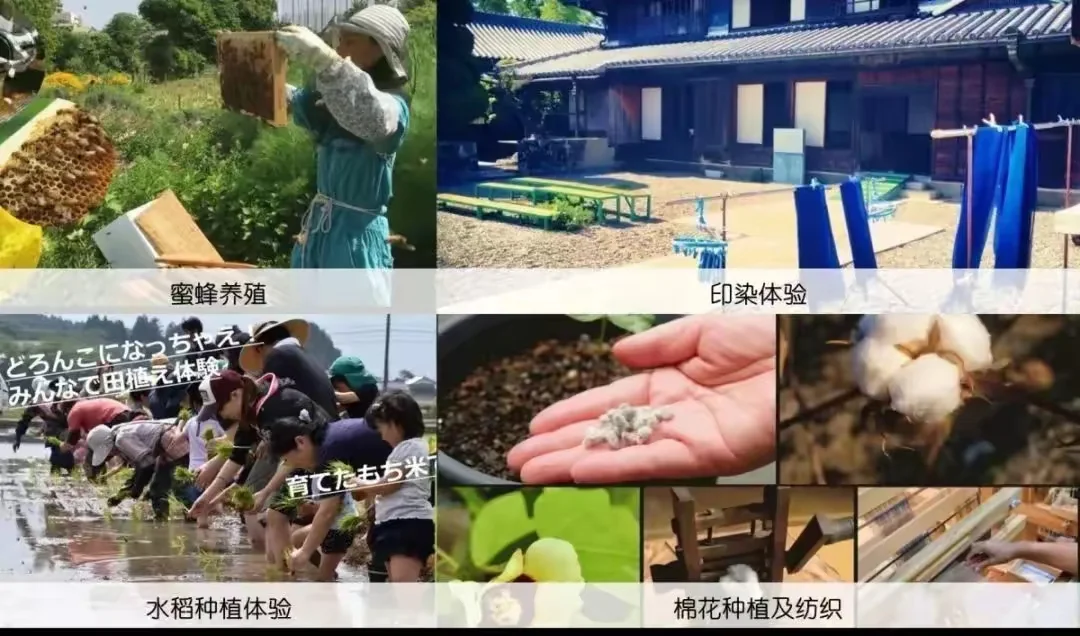 日本网红级农场Myfarm运营模式分享