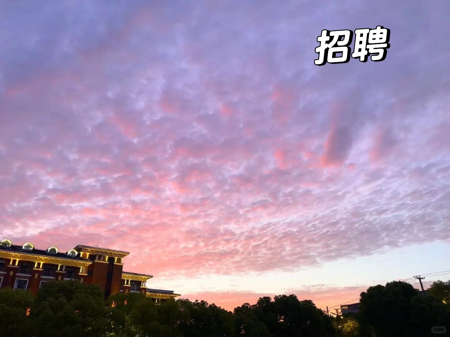 全国出差～薪资高～