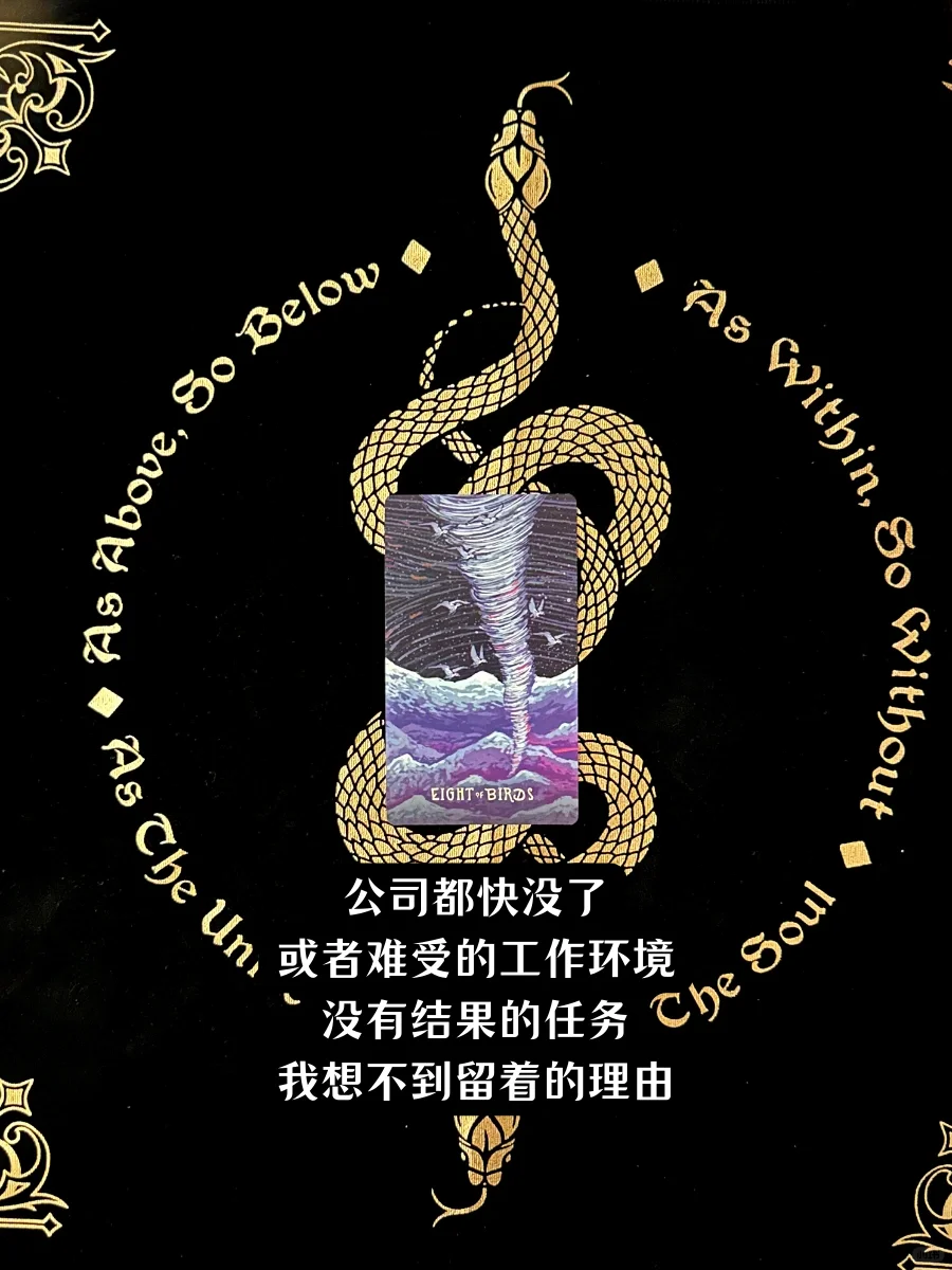 大众娱乐|该不该离职跳槽