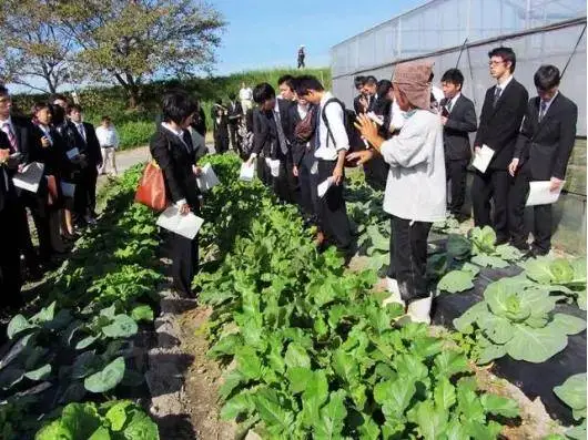 日本网红级农场Myfarm运营模式分享