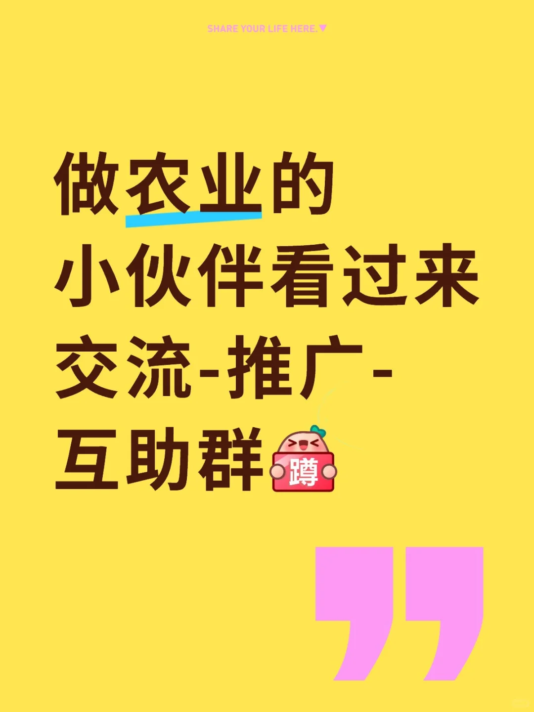 做农业，你快乐吗？新农人集合