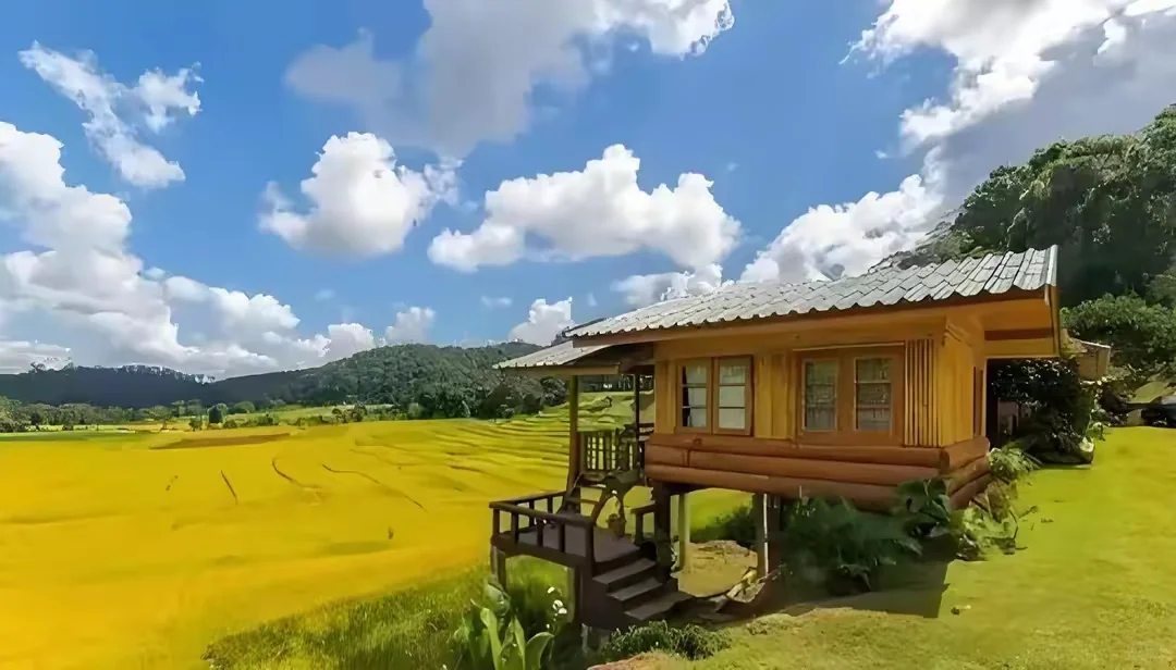 日本网红级农场Myfarm运营模式分享