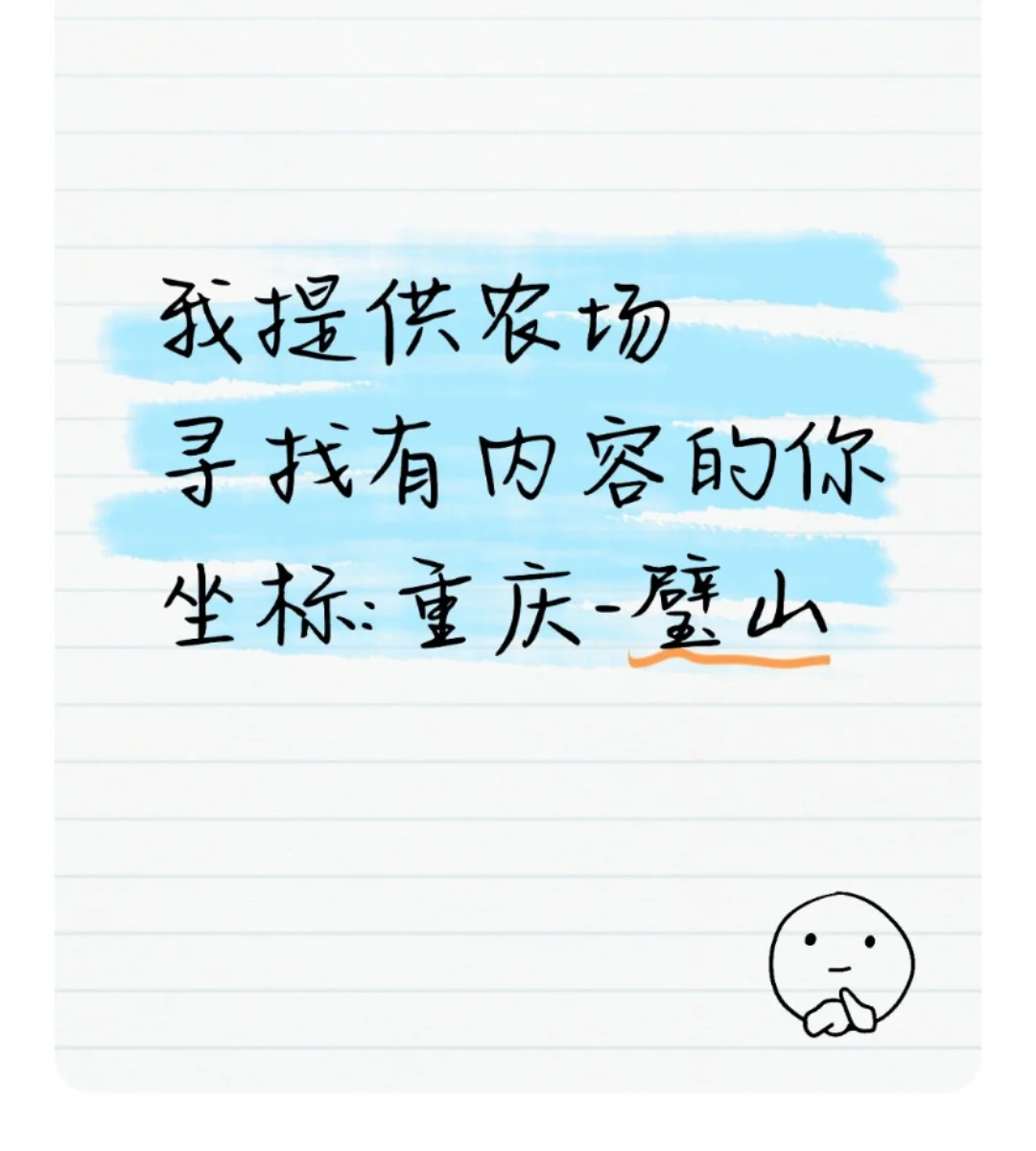 招农场共建者和新媒体运营