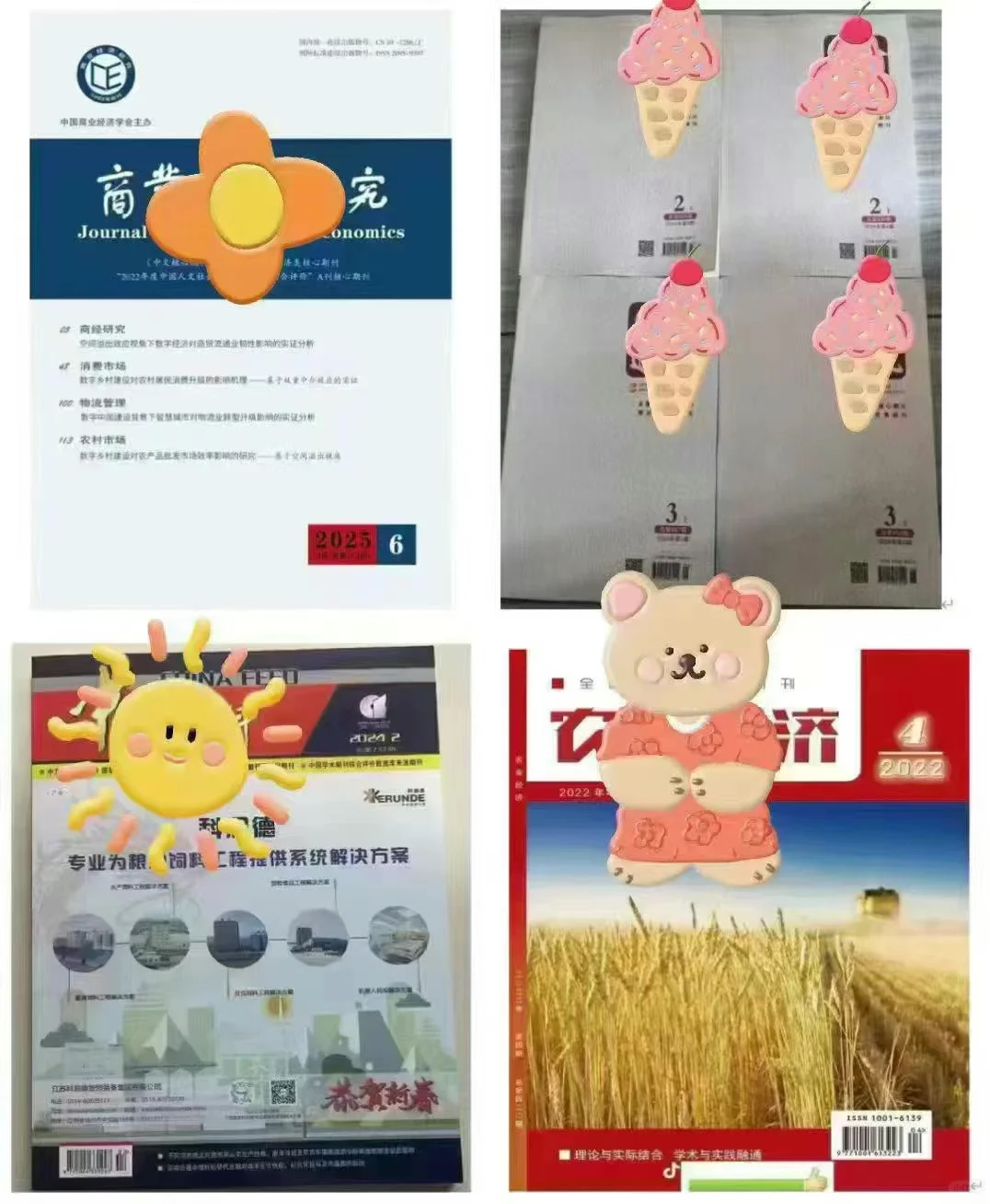 北大核心，经济类