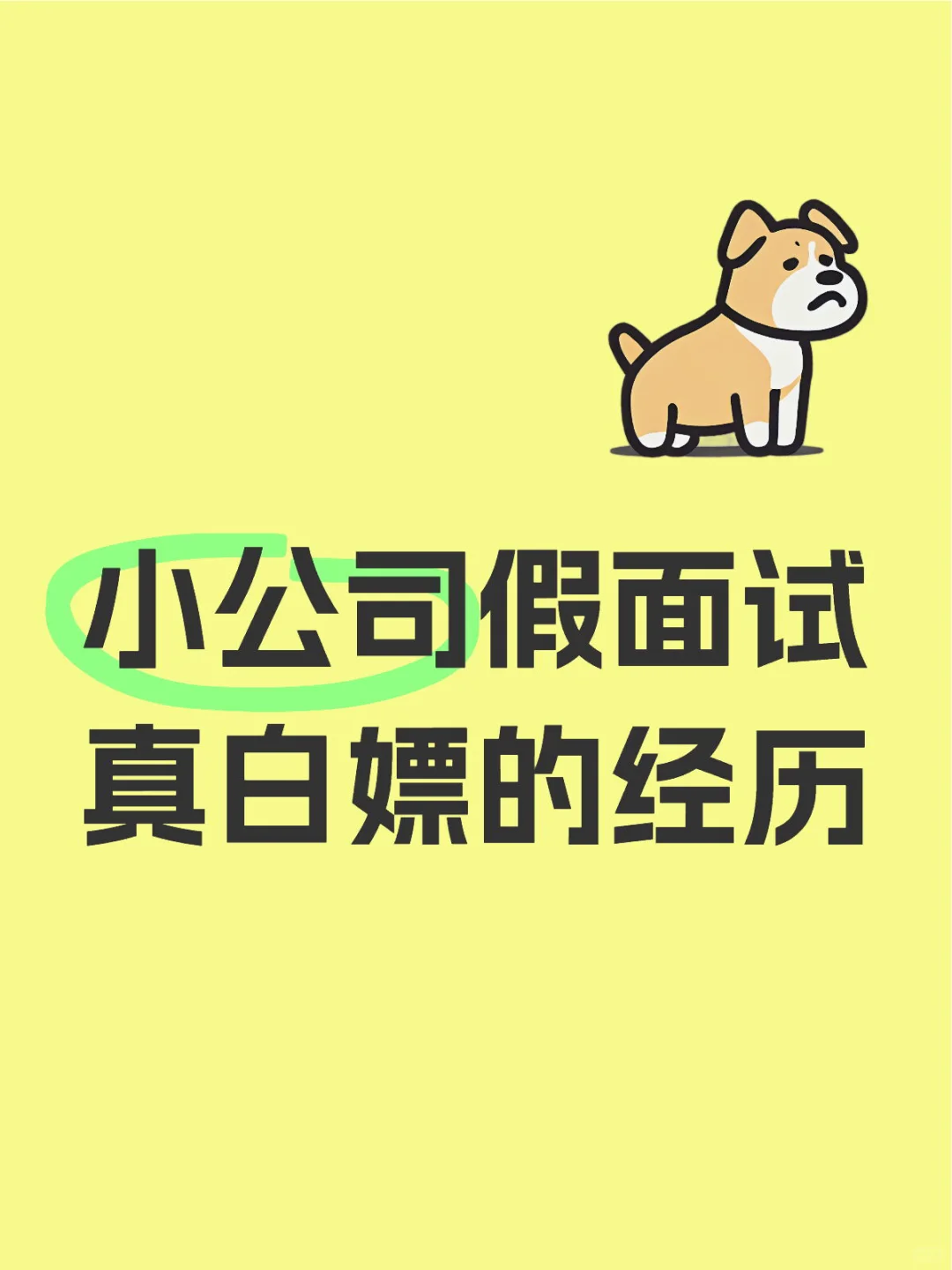 关于我的面试过程中遇到假面试的经历