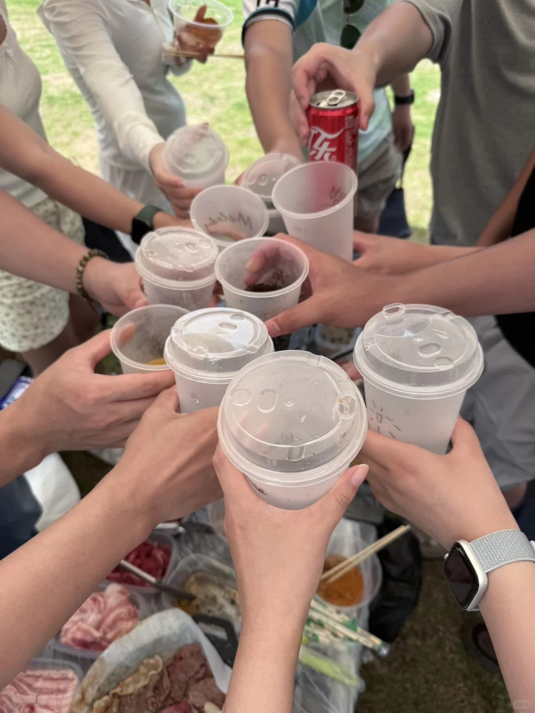 深圳双休公司招人,有人来带薪撸猫吗?