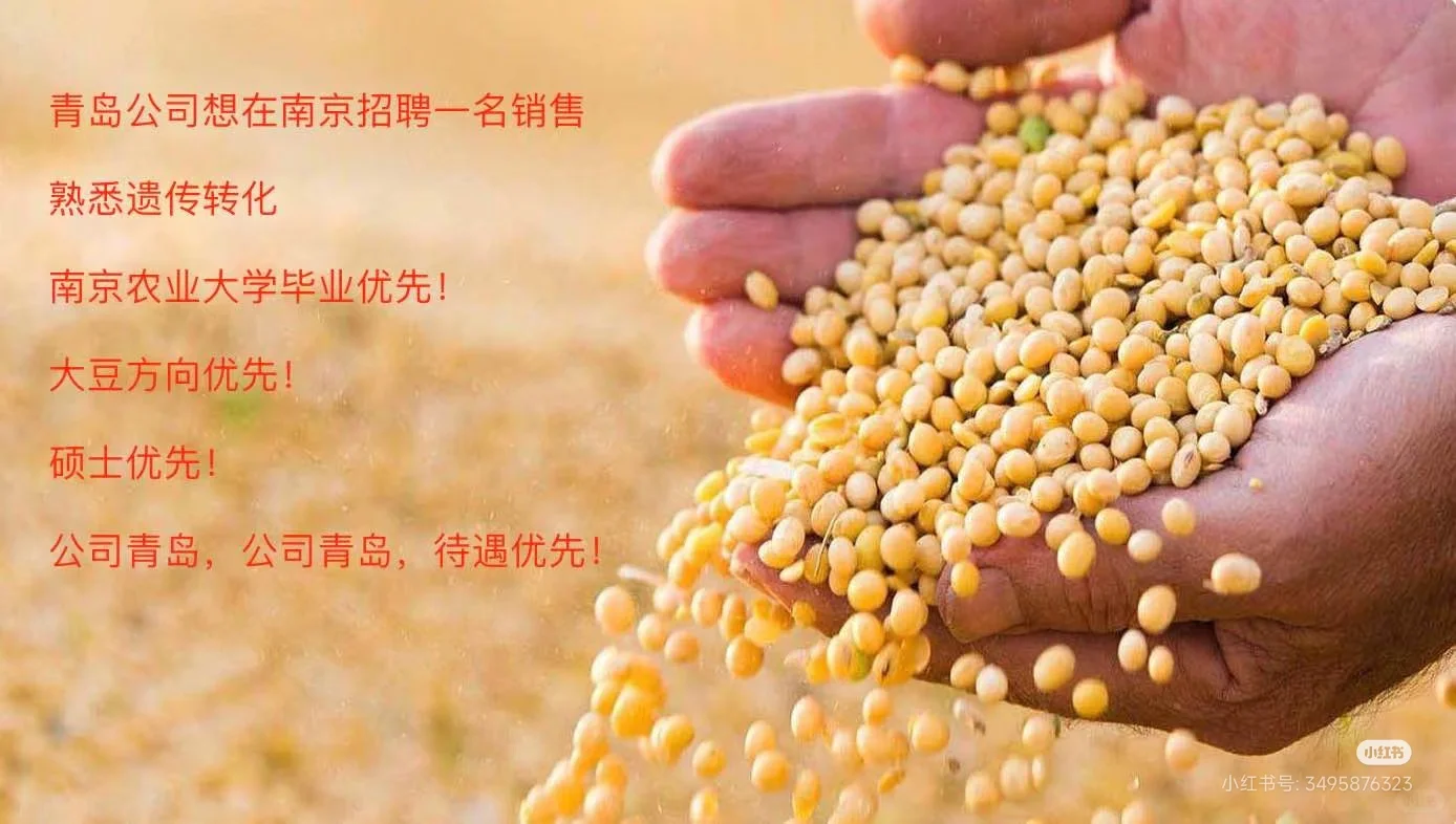 招聘,招聘,急着招聘