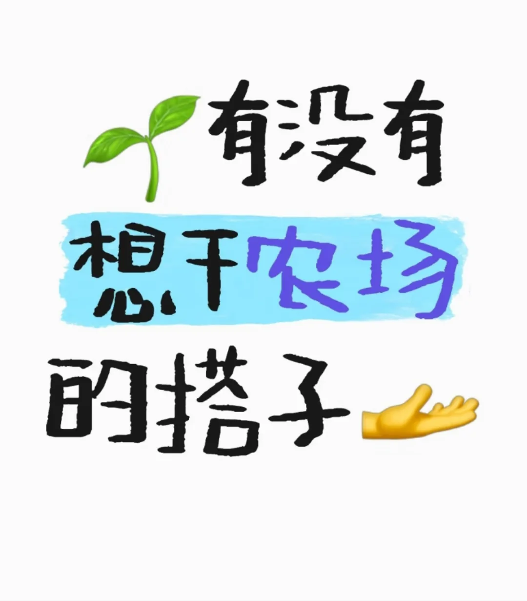 招农场共建者和新媒体运营