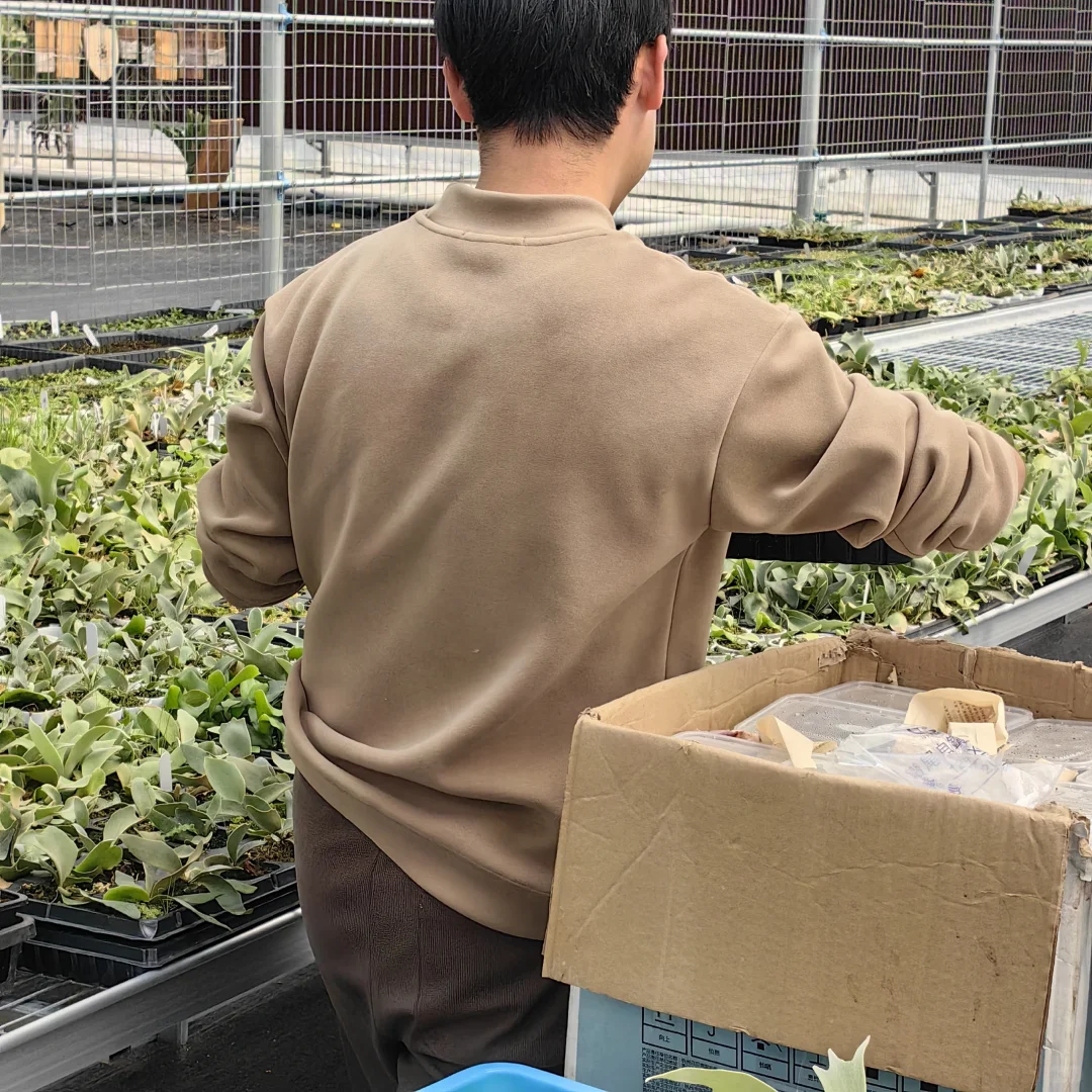 广州南沙招聘临时工