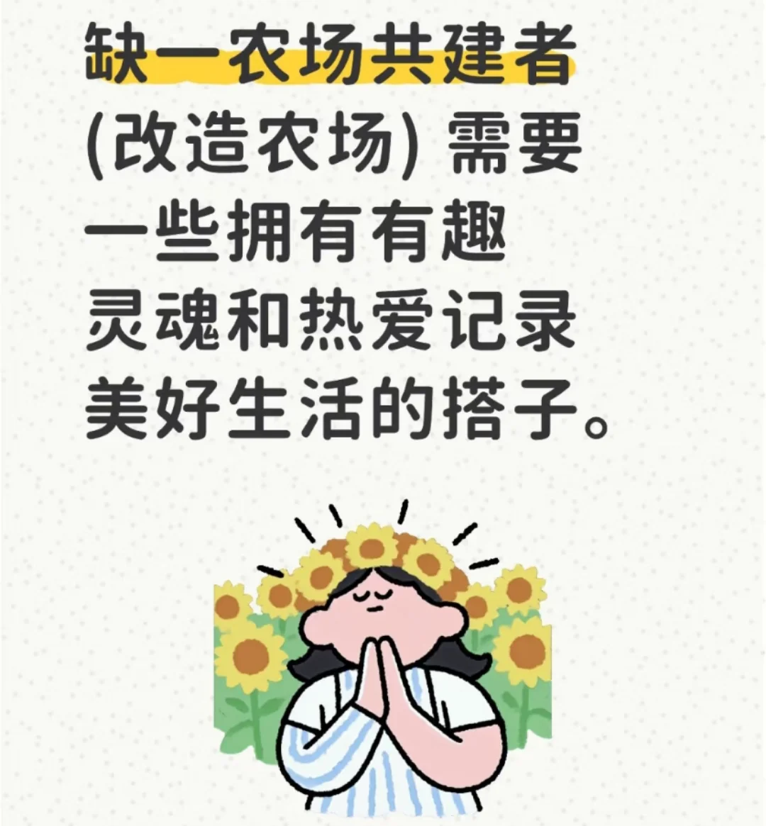 招农场共建者和新媒体运营