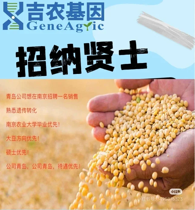 招聘,招聘,急着招聘