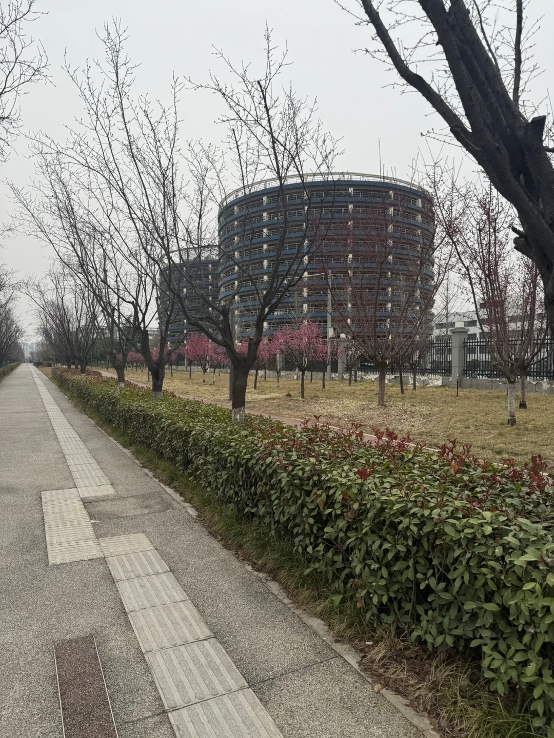 迪厂回忆录（二十一）“爱迪生”升职加薪的秘密