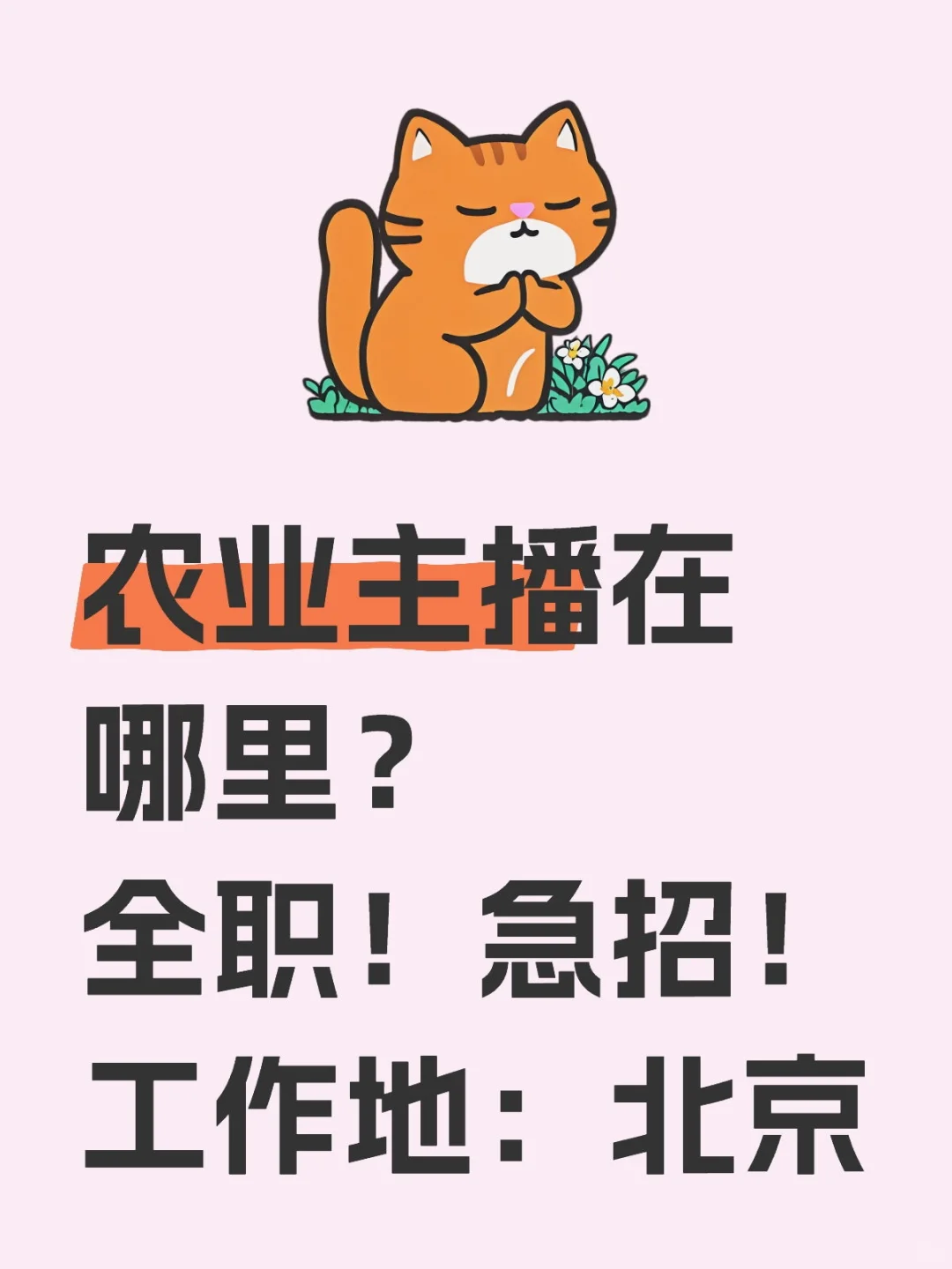 北京,招聘农业主播