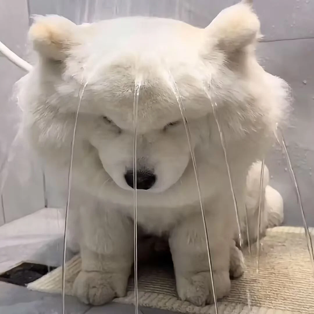 记录一下电销生活