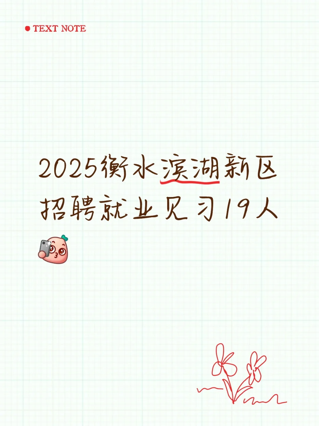 2025衡水滨湖新区招聘就业见习19人