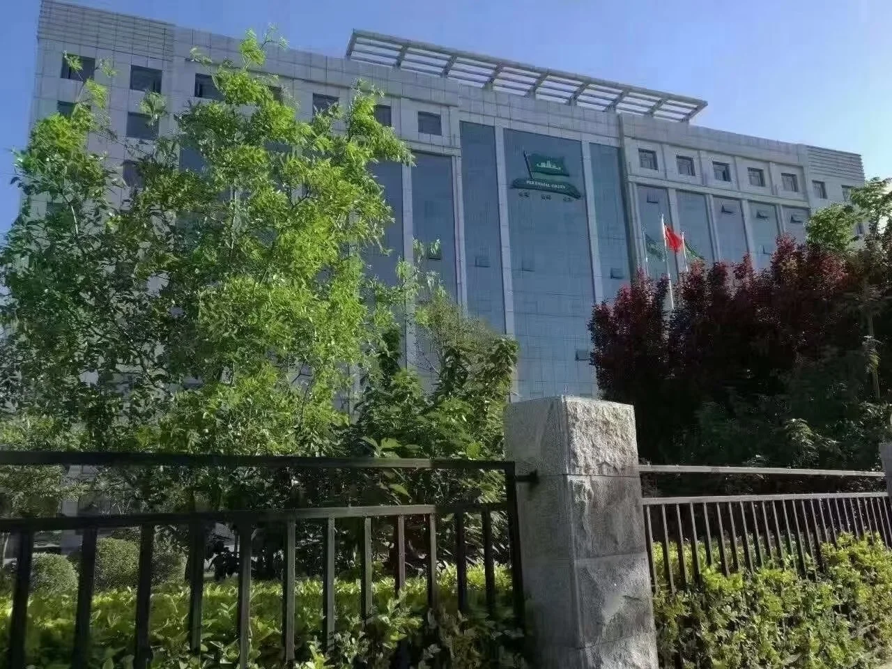 绿业元内推上岸