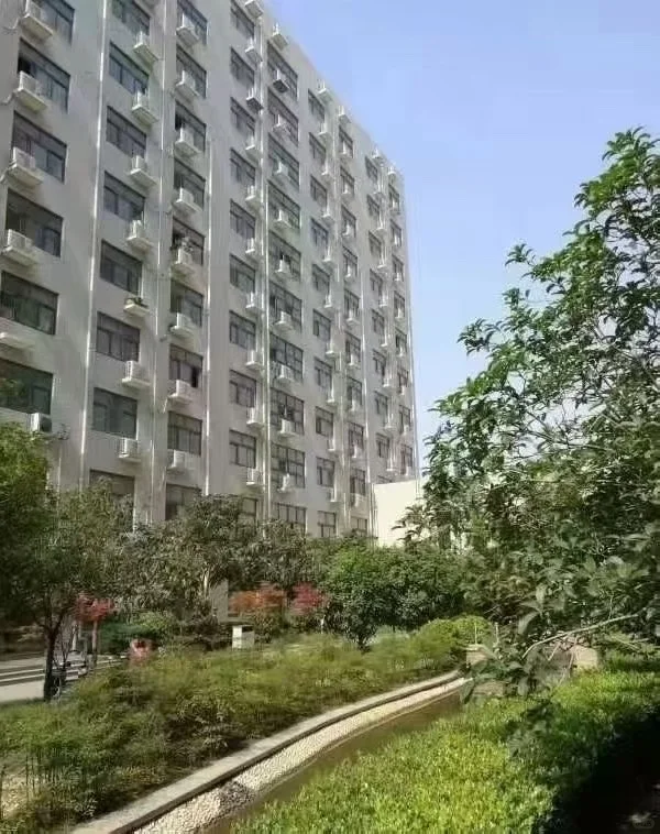 绿业元内推上岸