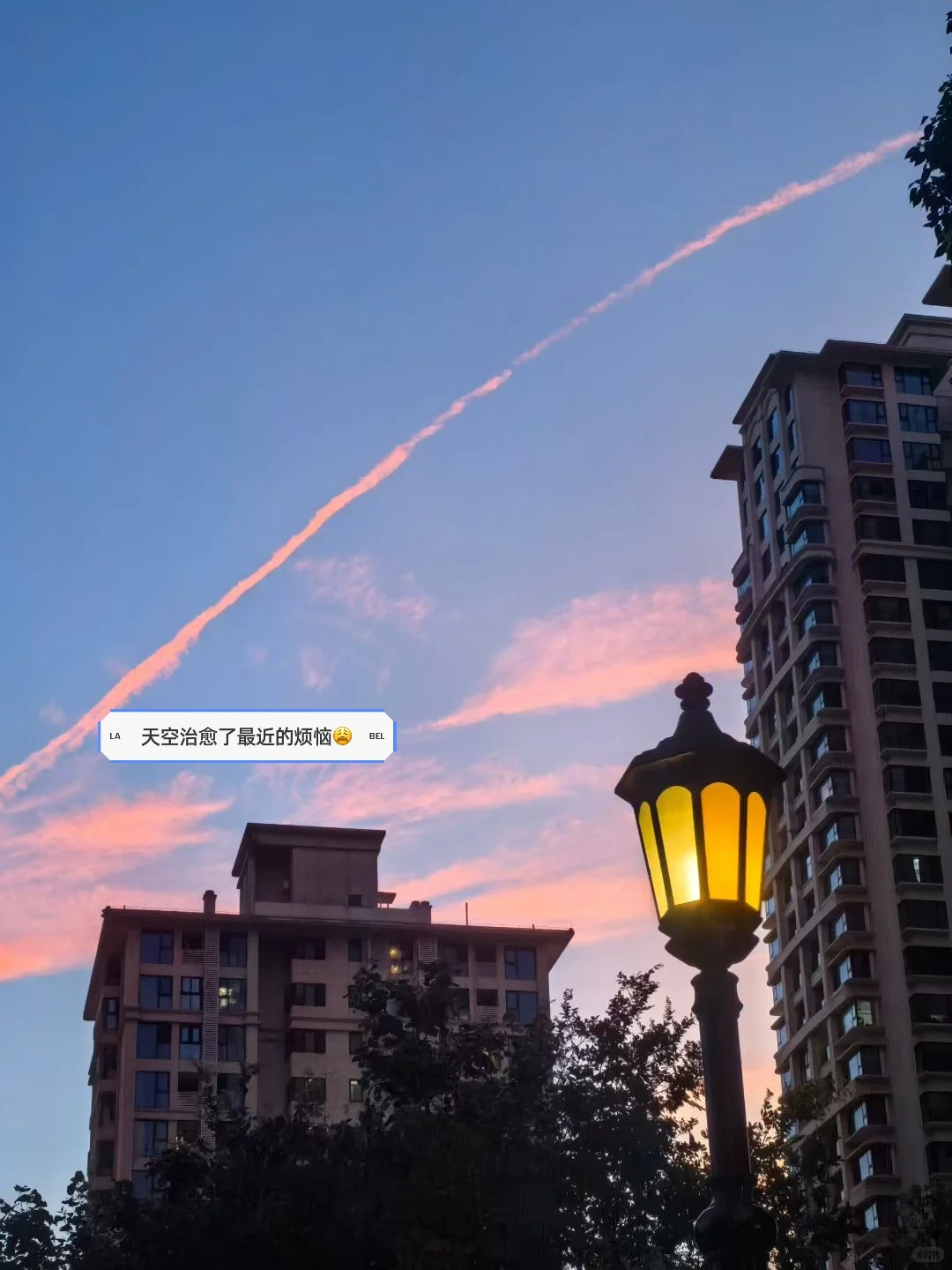 ?在横琴有一份高薪工作多么快乐啊!!!