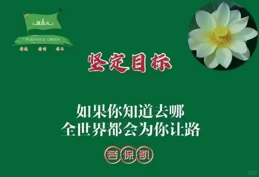 绿业元内推上岸