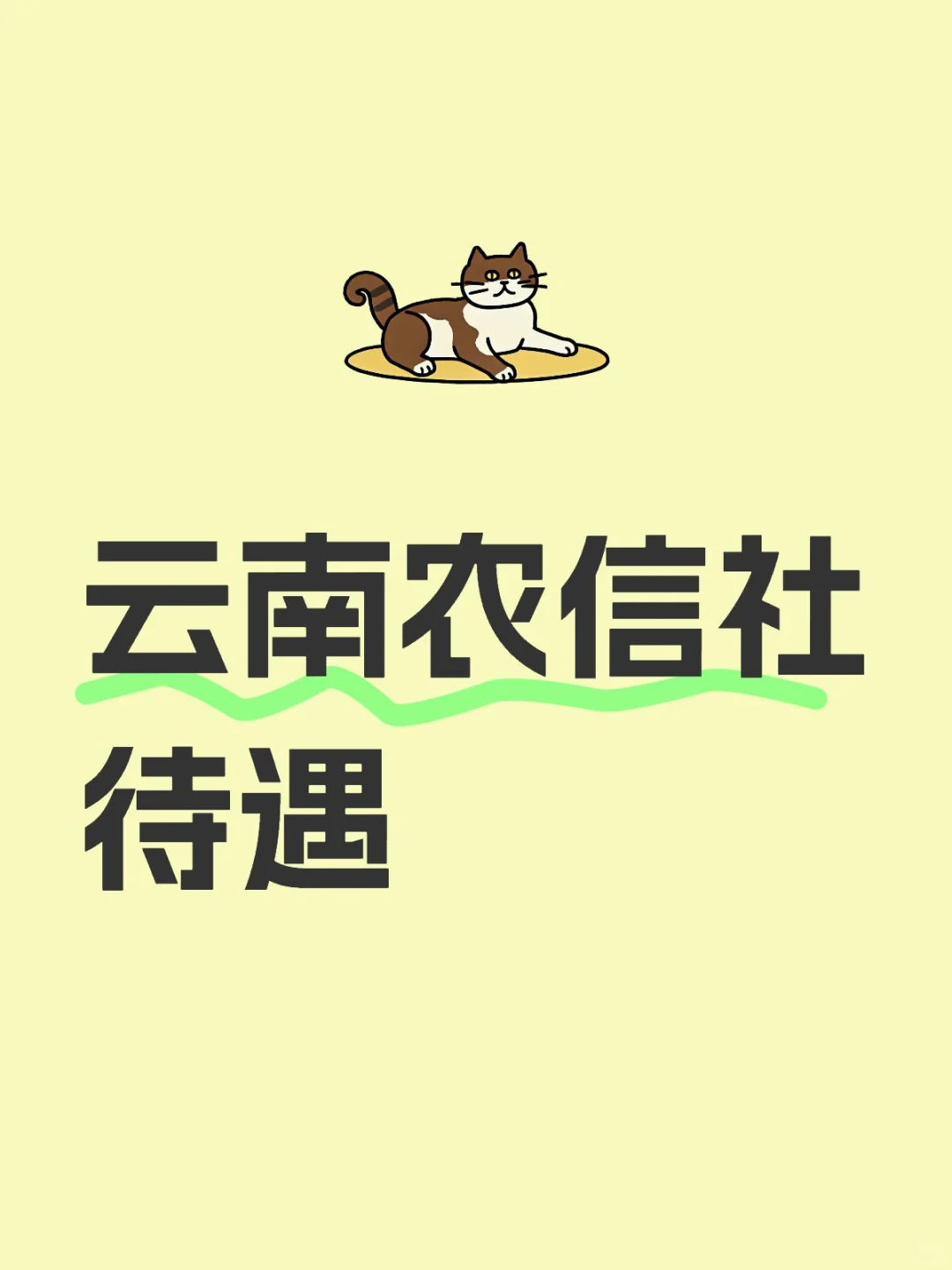 云南农信社待遇