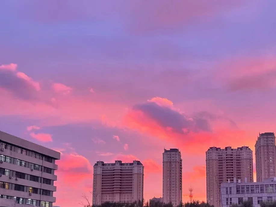 东北农业大学已毕业?有问必答