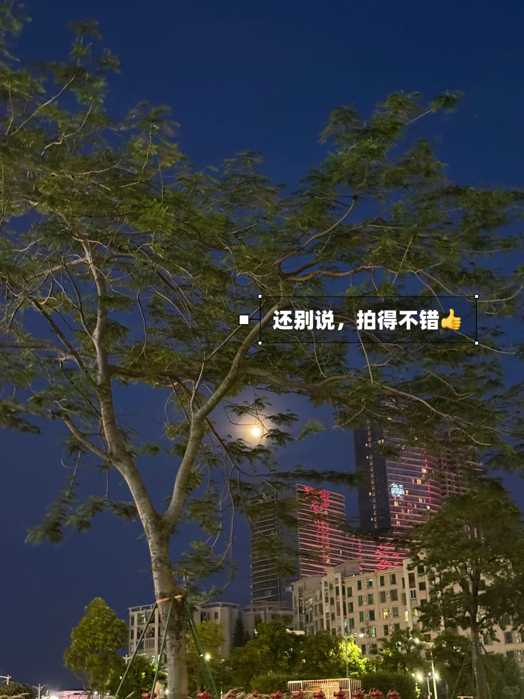 ?在横琴有一份高薪工作多么快乐啊!!!