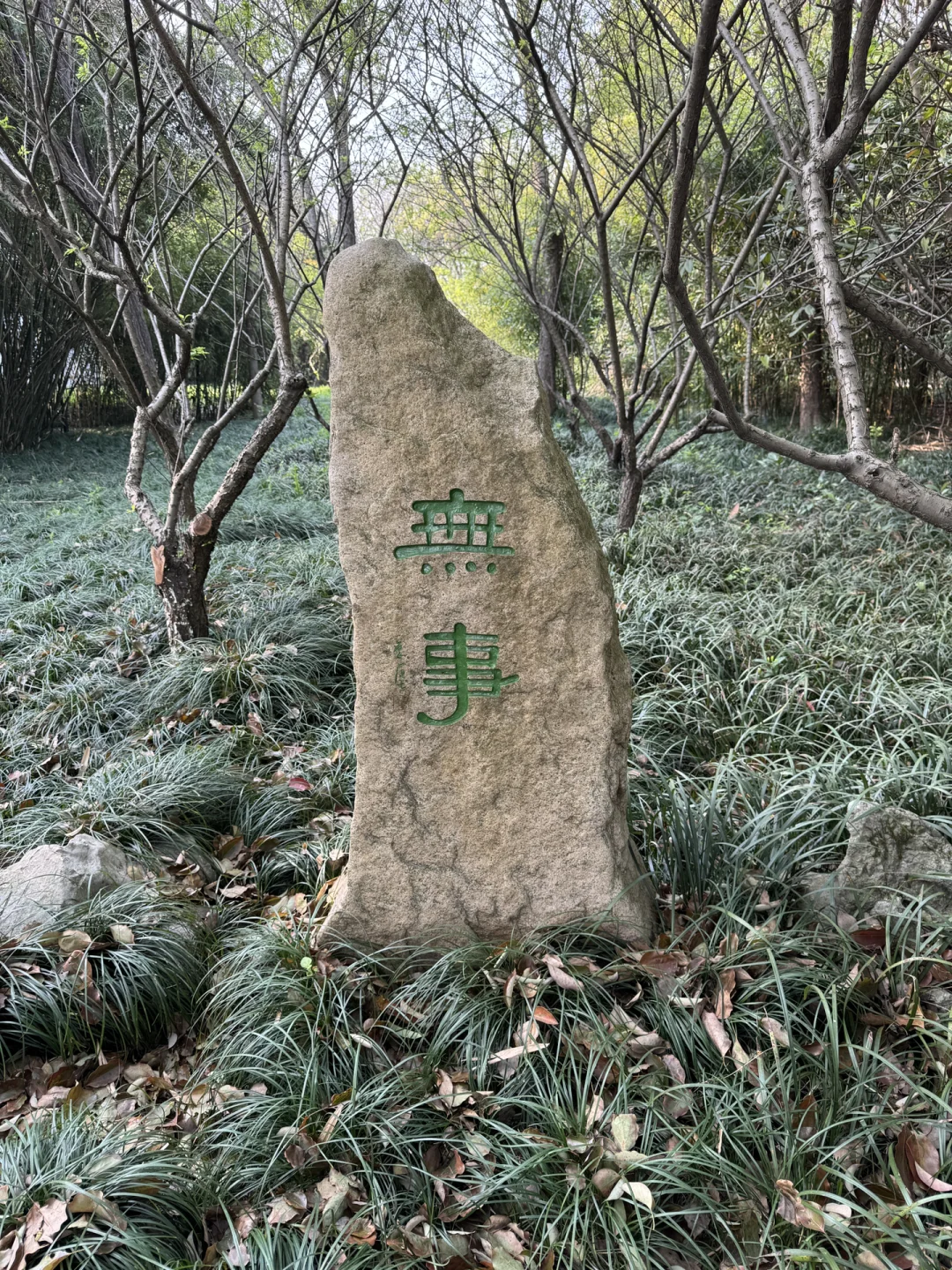 那么多年轻人找不到工作有其他出路吗?