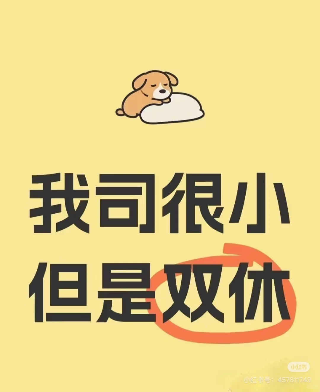 看我看我看我看我看我！