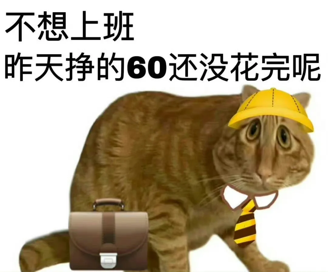 双休和单休的区别太大了