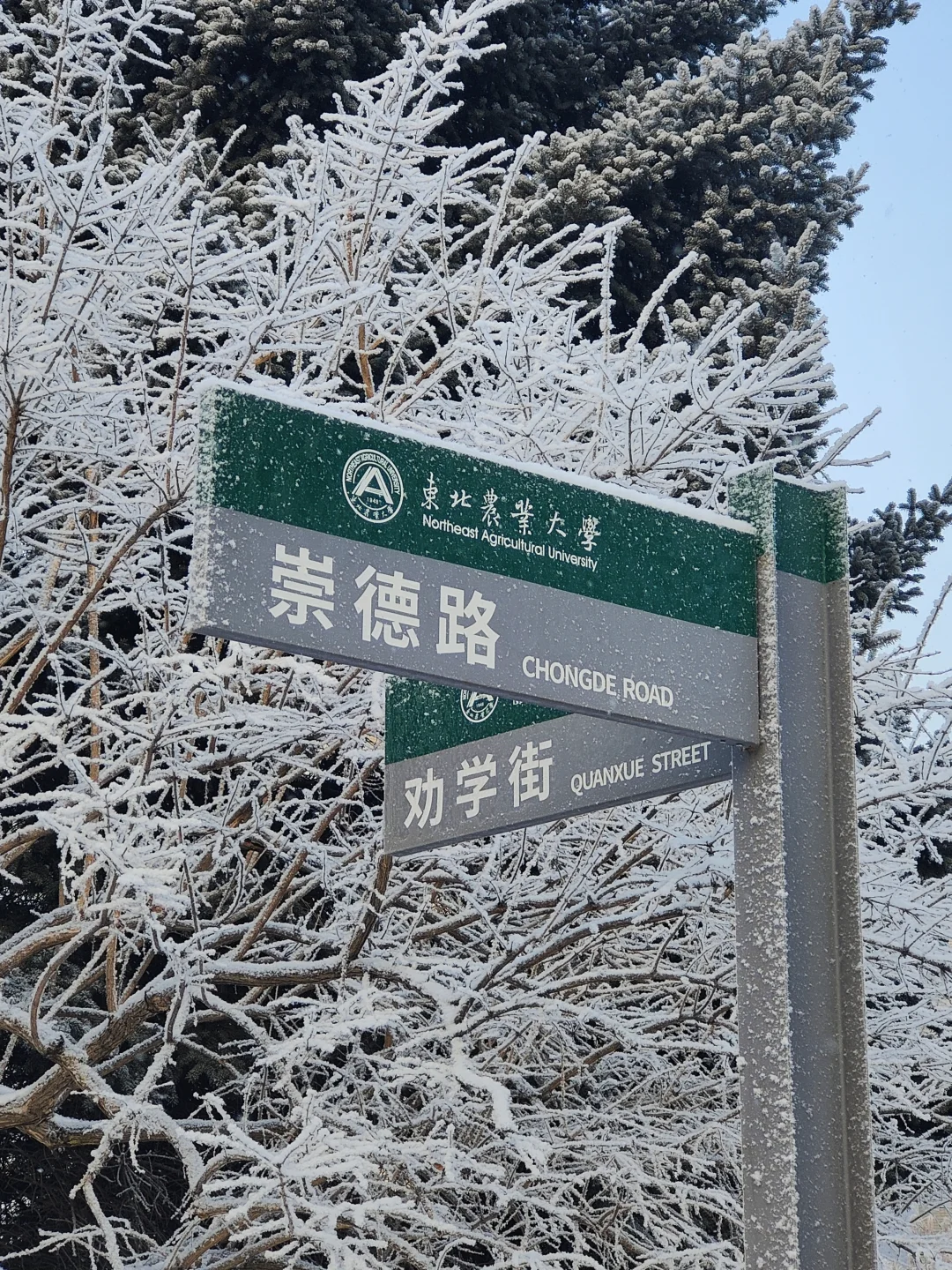 东北农业大学已毕业?有问必答