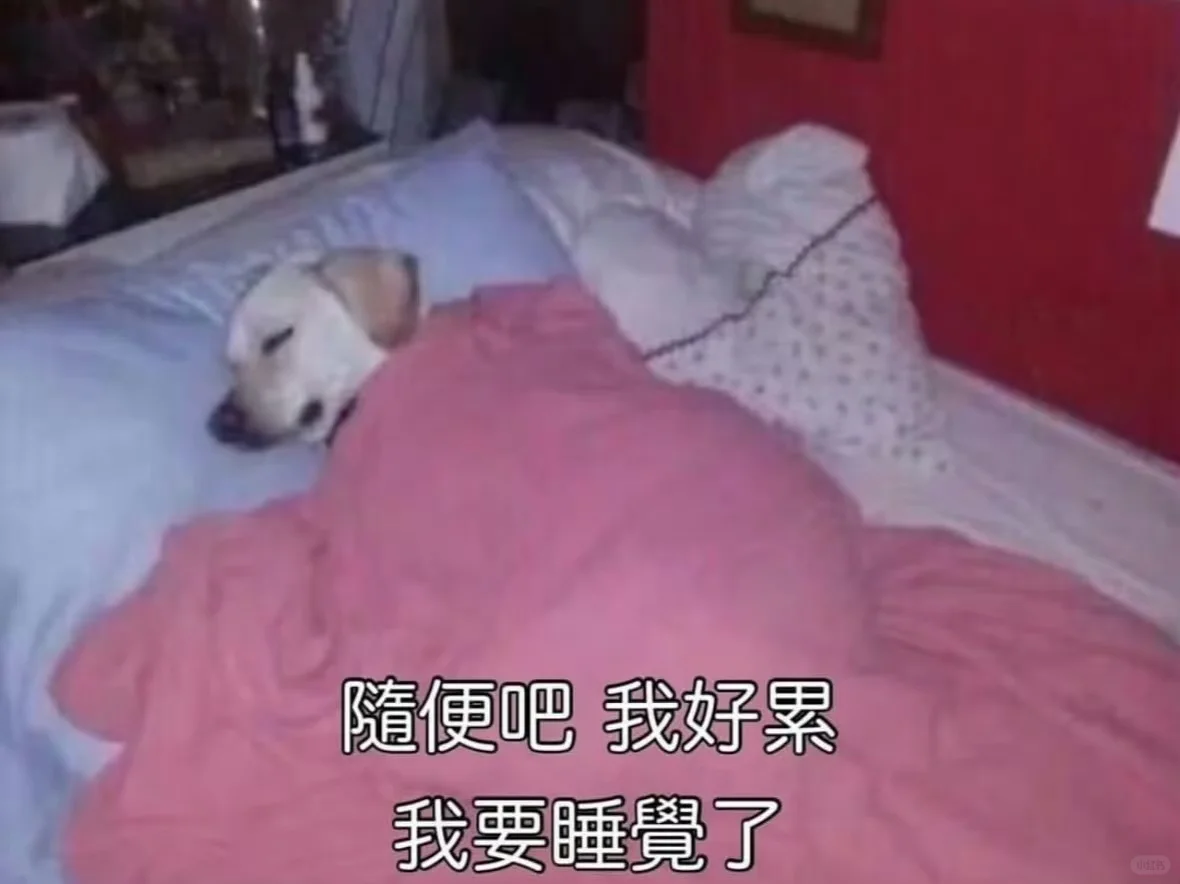 想找一份数据标注的实习怎么这么难
