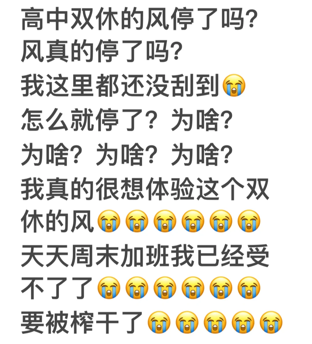 高中双休的风停了吗？