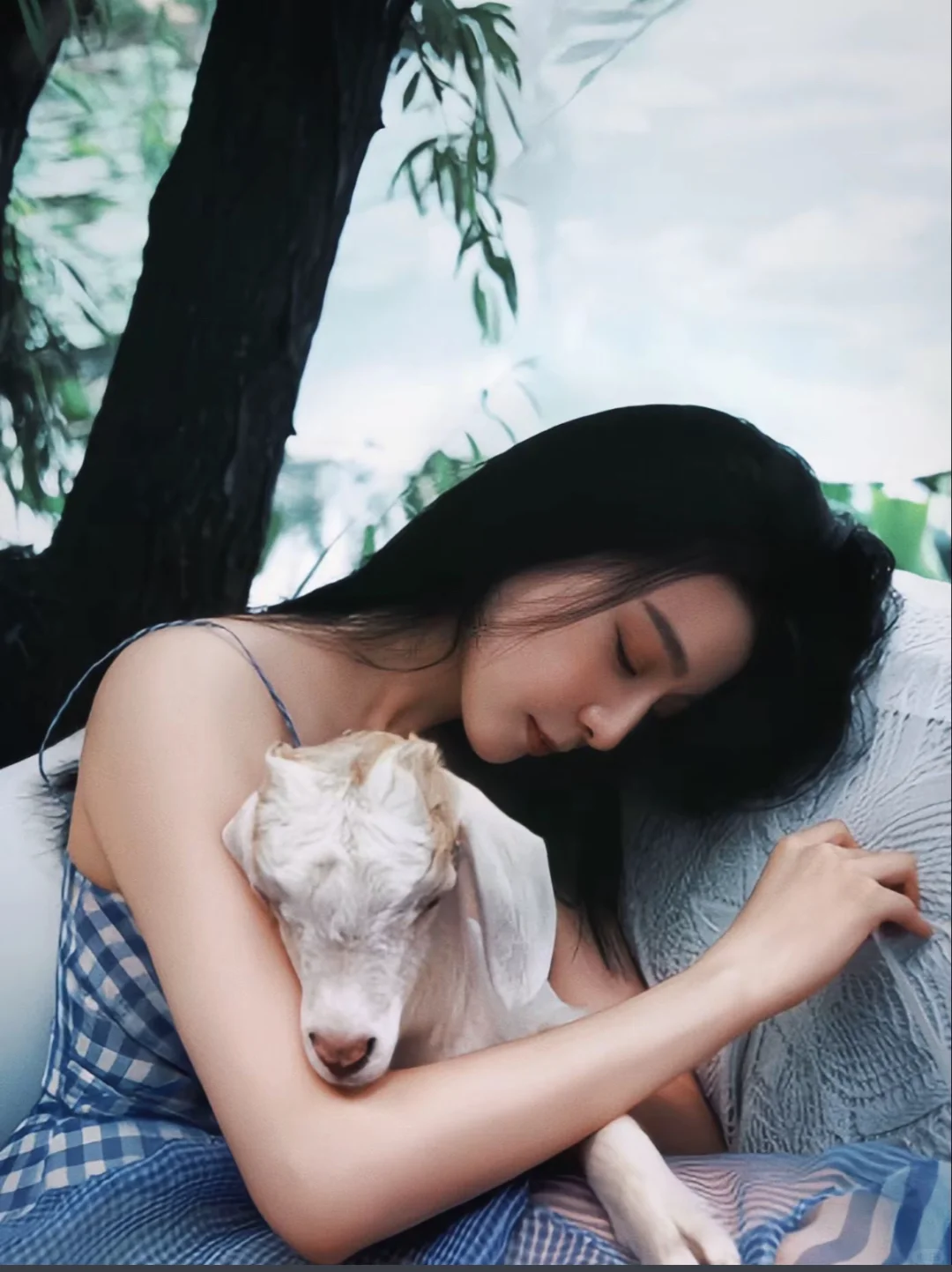 私藏的冰